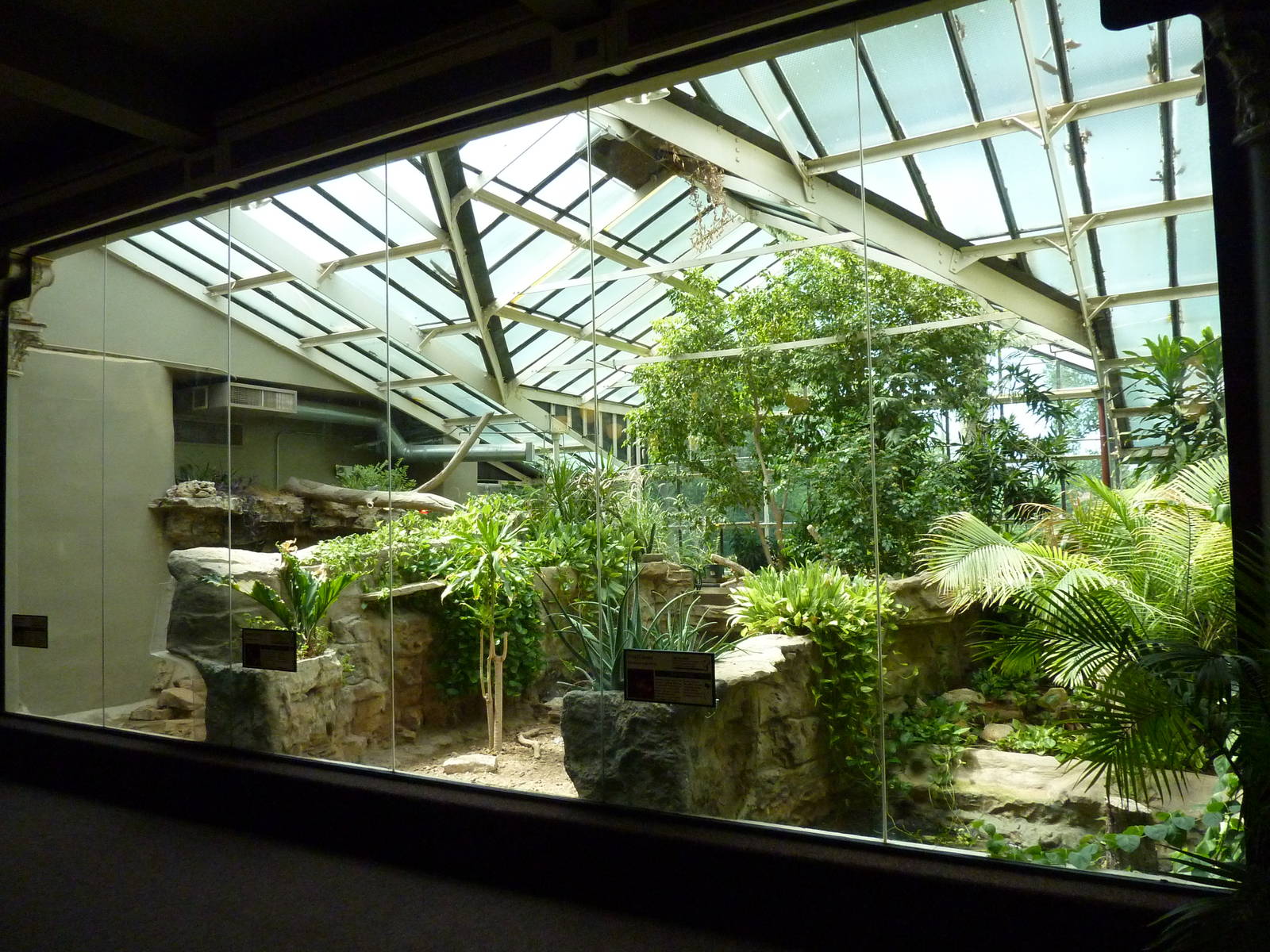 Komodo Dragon/Radiated Tortoise/Dwarf Caiman Exhibits