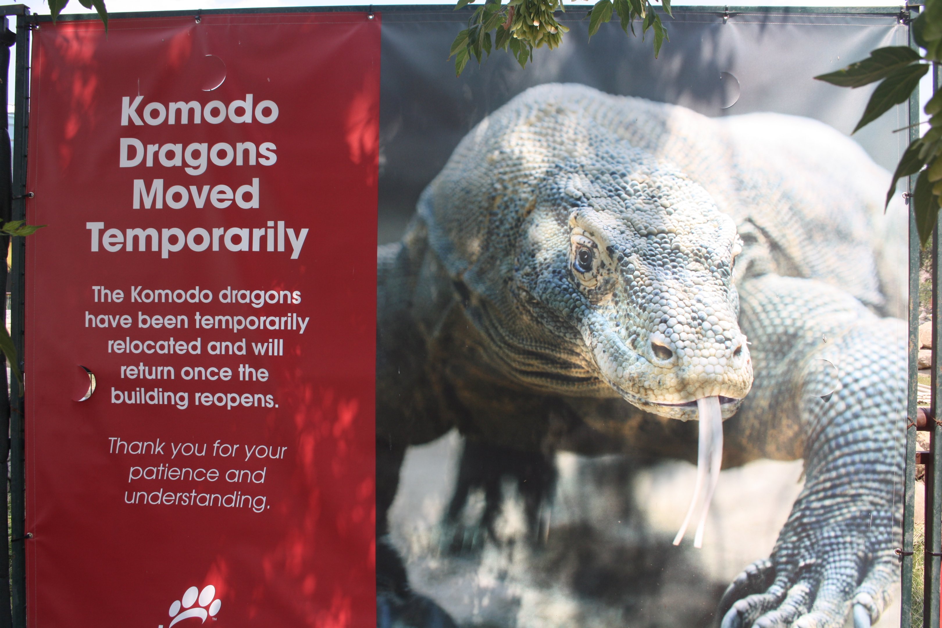Komodo Dragon Sign (animals are returning in 2018)