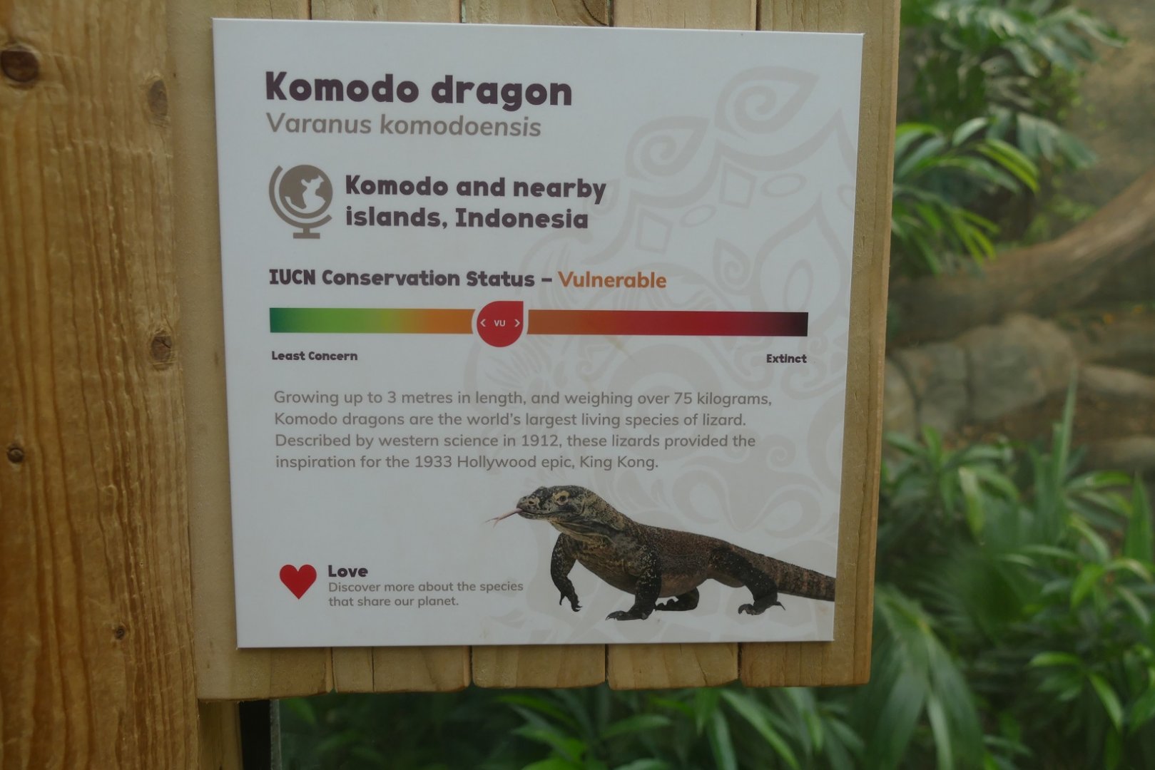 Komodo dragon sign, April 2019