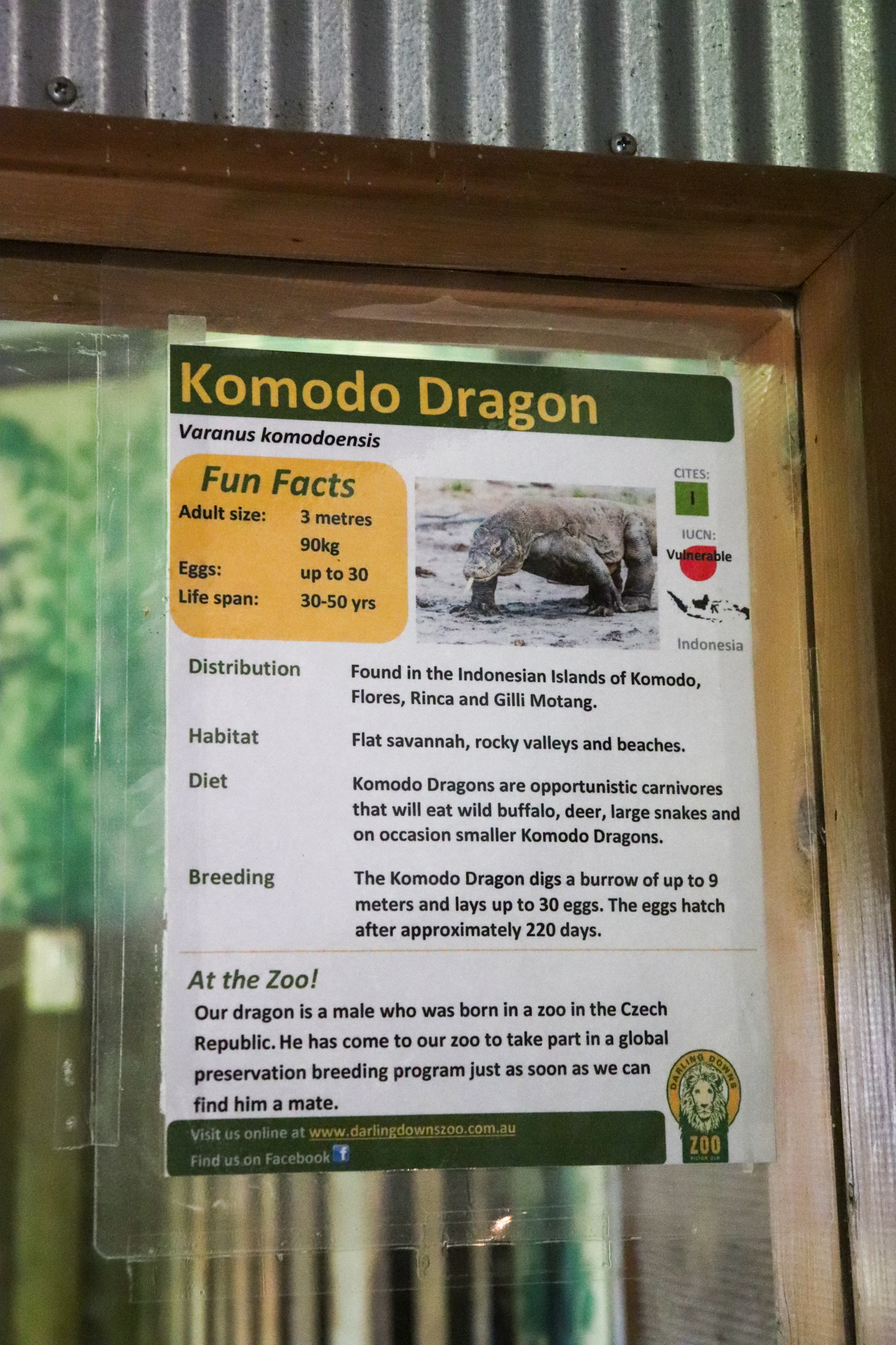 Komodo Dragon Sign