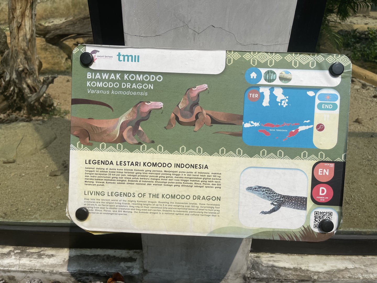 komodo dragon signage (1) - museum komodo