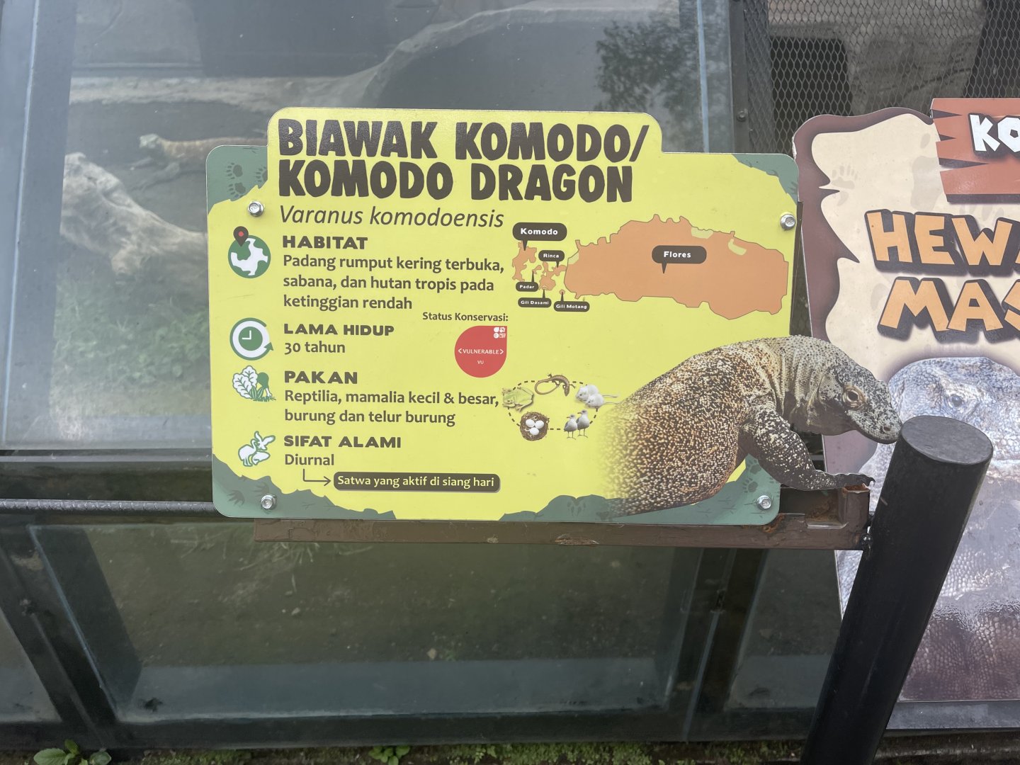 komodo dragon signage (1)
