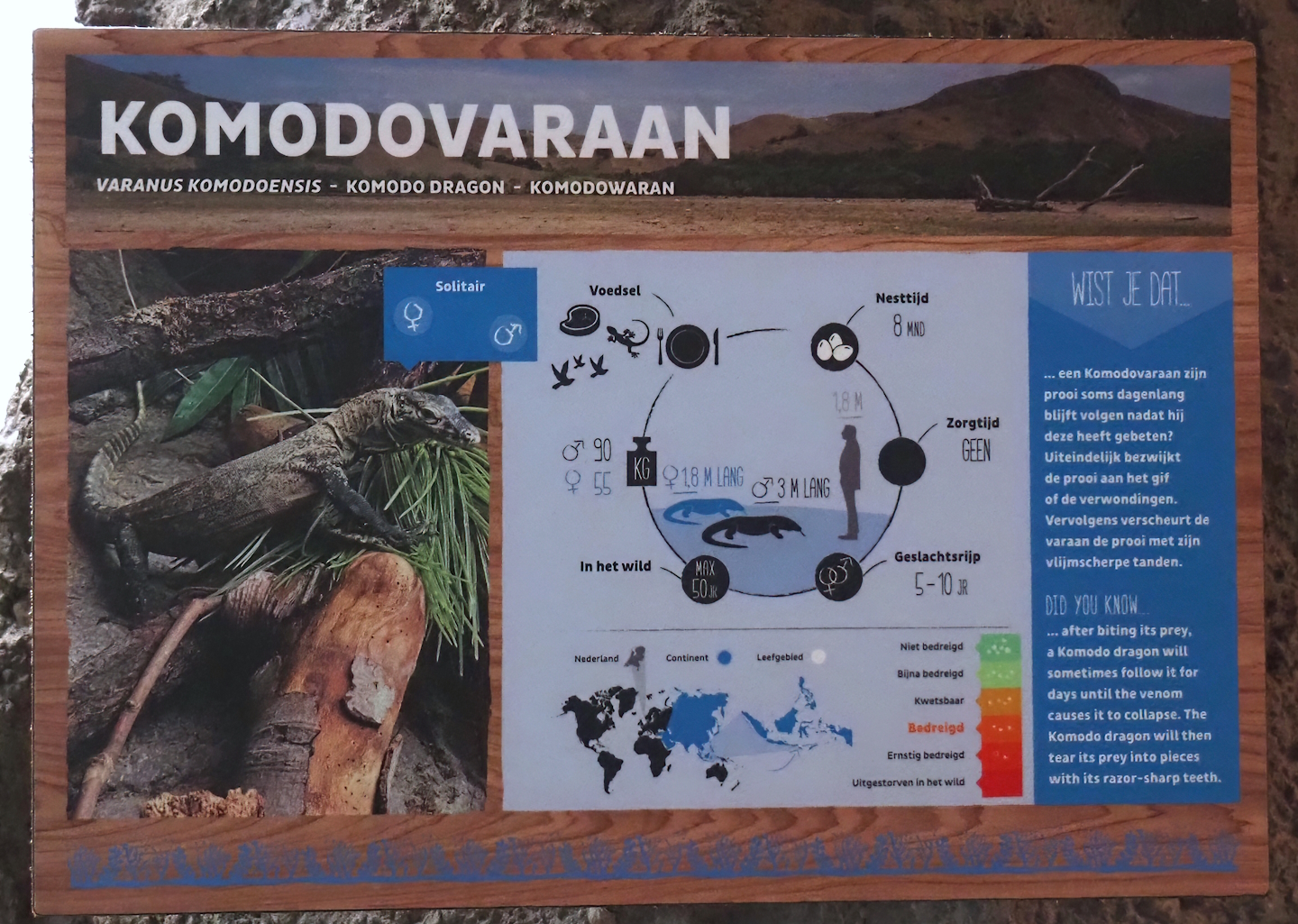 Komodo dragon signage, 2024-06-30