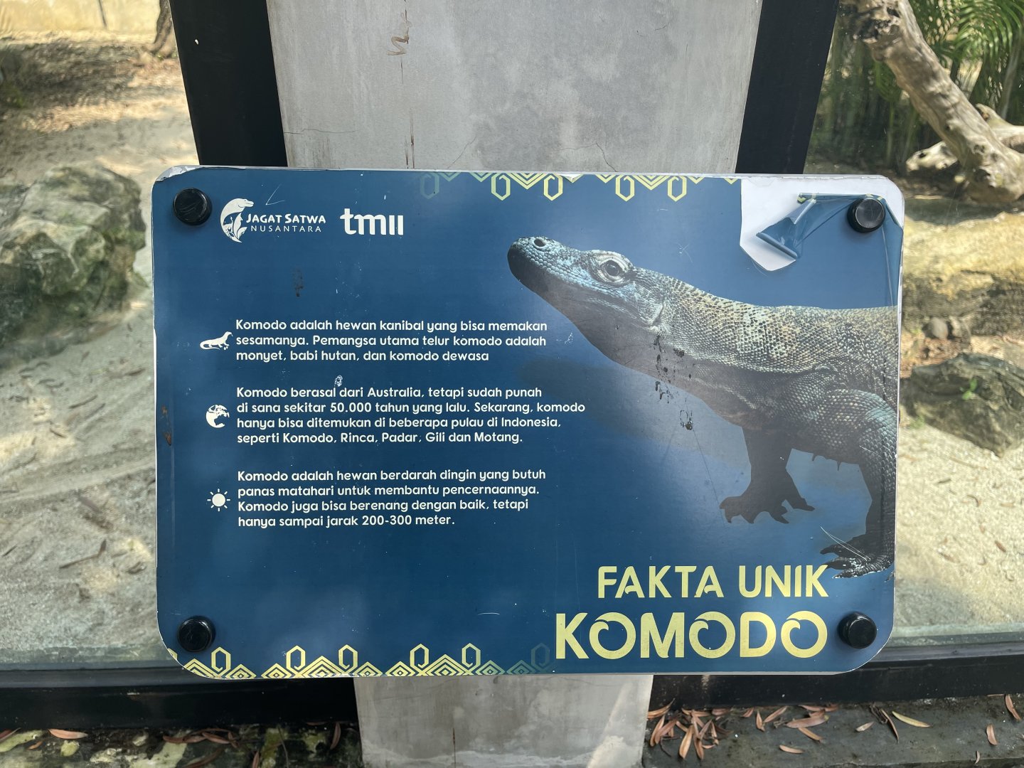 komodo dragon signage (3) - museum komodo