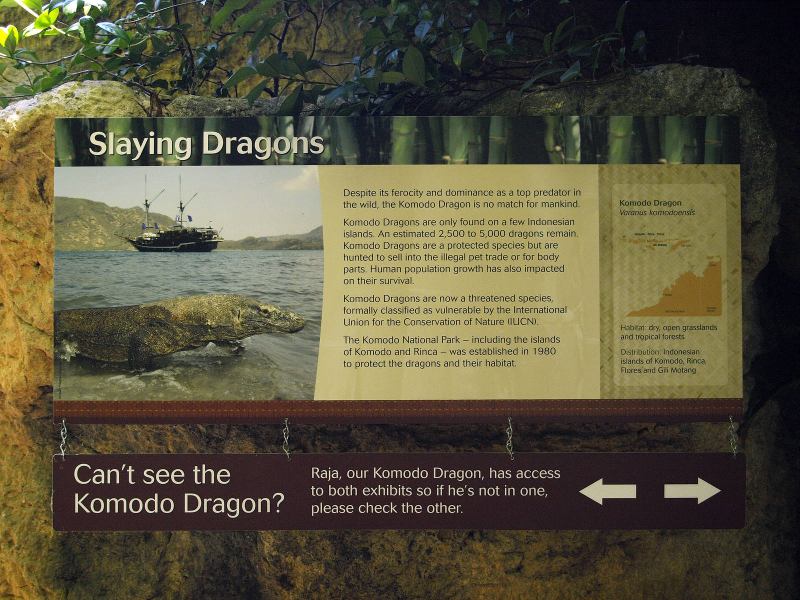 Komodo dragon signage