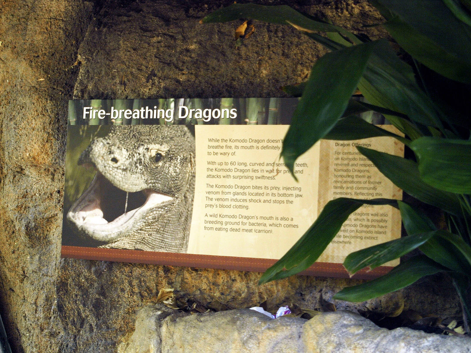 Komodo dragon signage