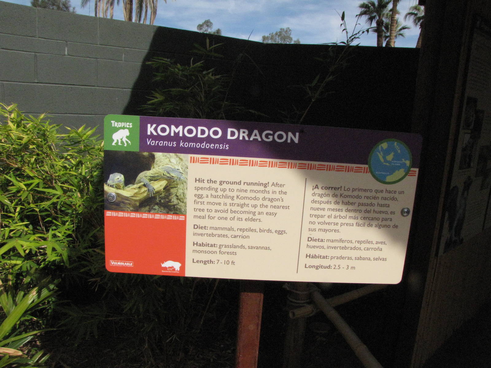 Komodo Dragon Signage