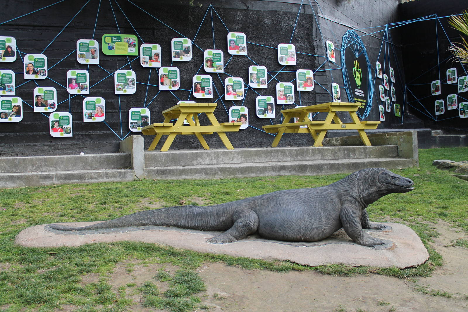Komodo Dragon statue