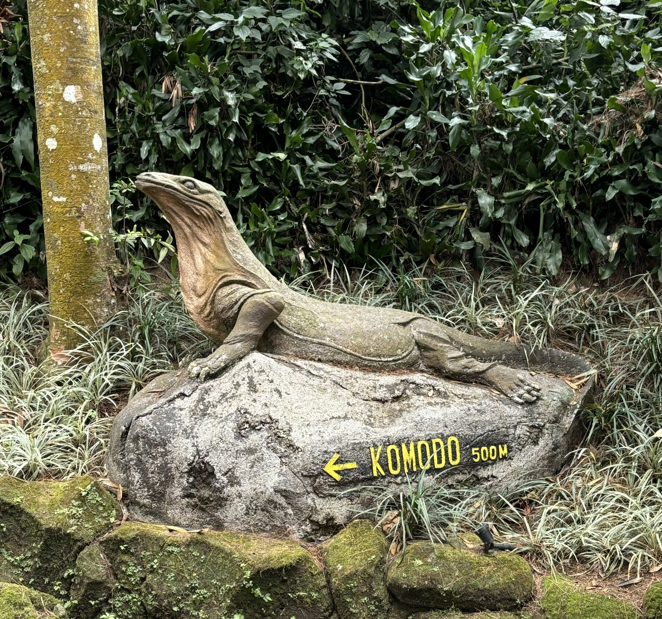 Komodo Dragon Statue