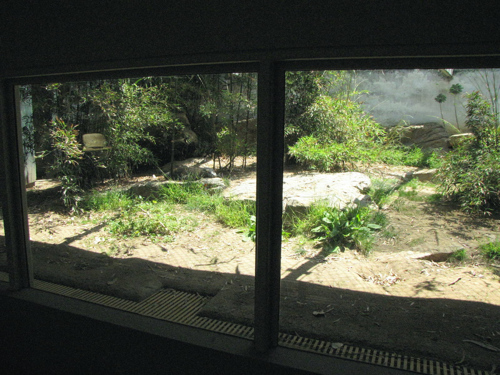 Komodo Dragon Sun Room