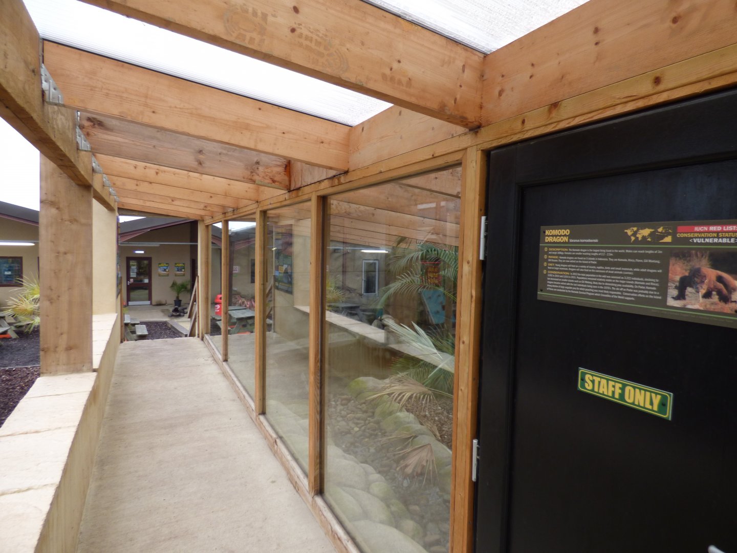 Komodo Dragon Viewing Area