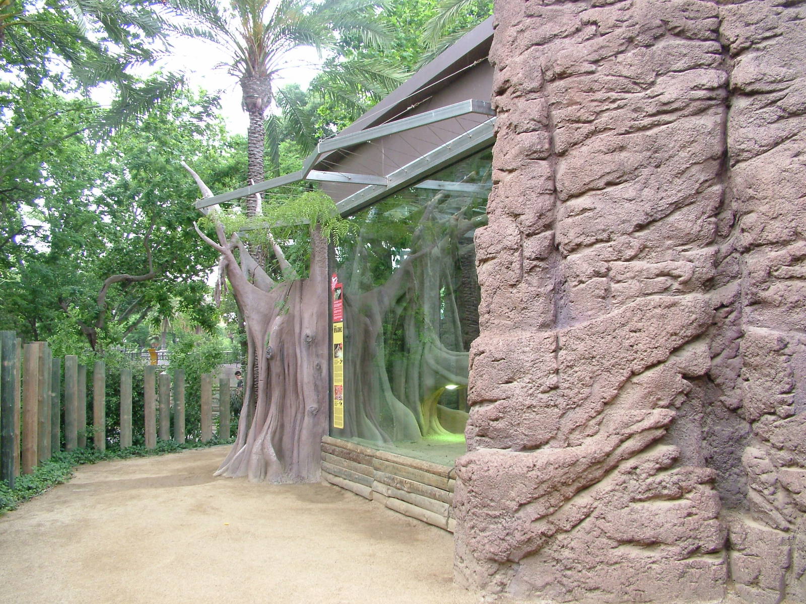 Komodo Dragon Viewing at Barcelona, 30/05/11