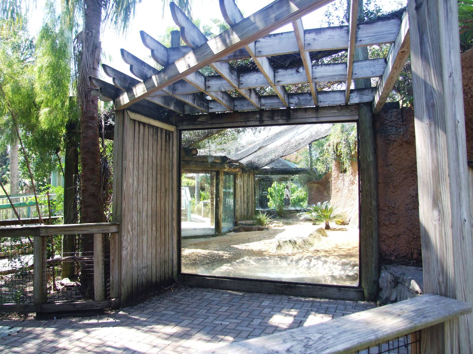 Komodo Dragon Viewing at Lowry Park, 13/10/13