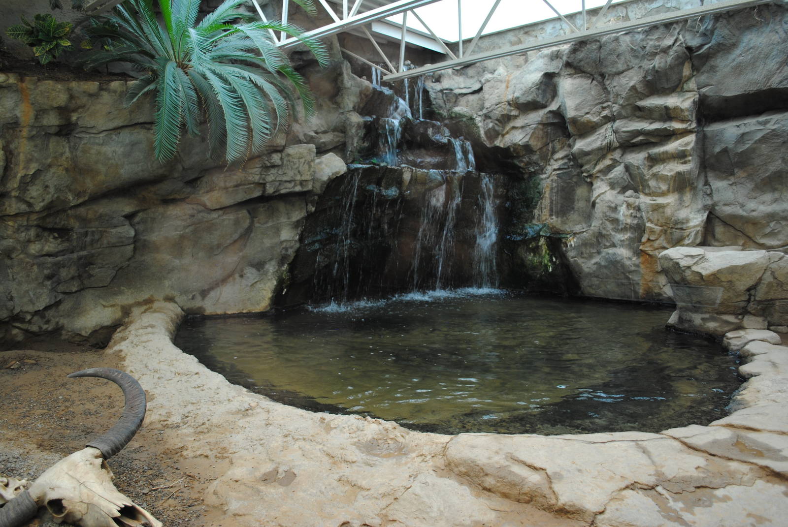 Komodo Dragons Indoor Exhibit (Island Giants)