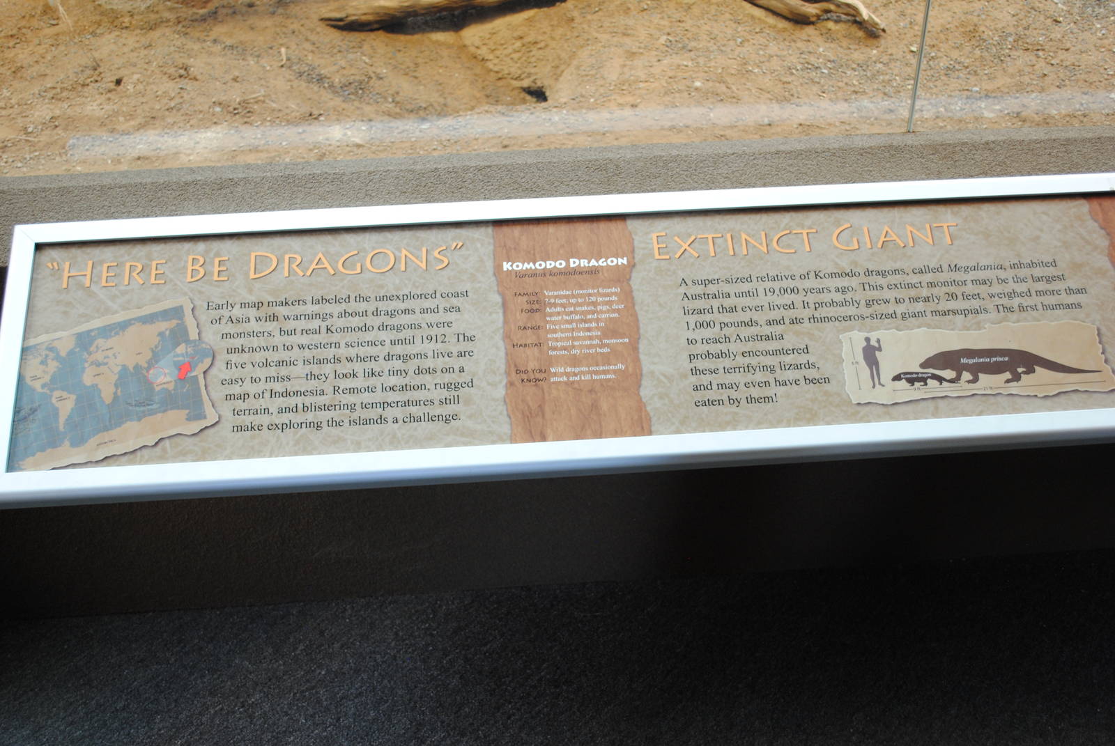 Komodo Dragons Information Stand (Island Giants)