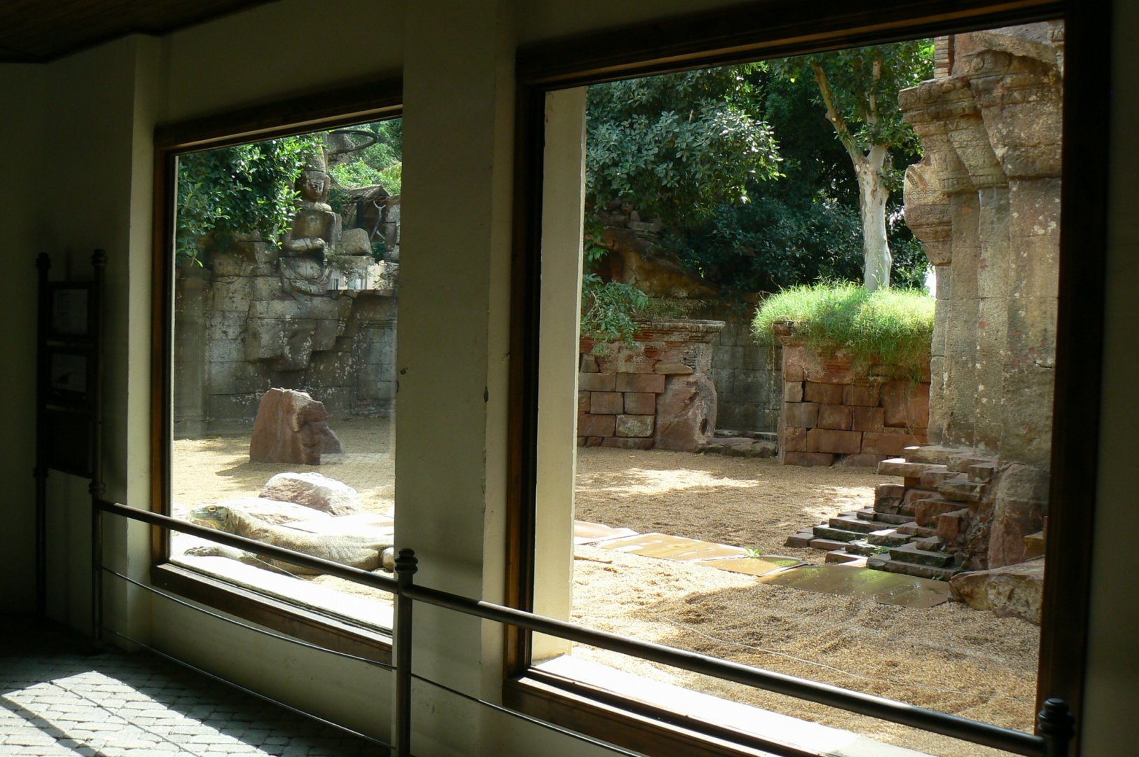 Komodo dragons outdoor exhibit - View from the reptiles house