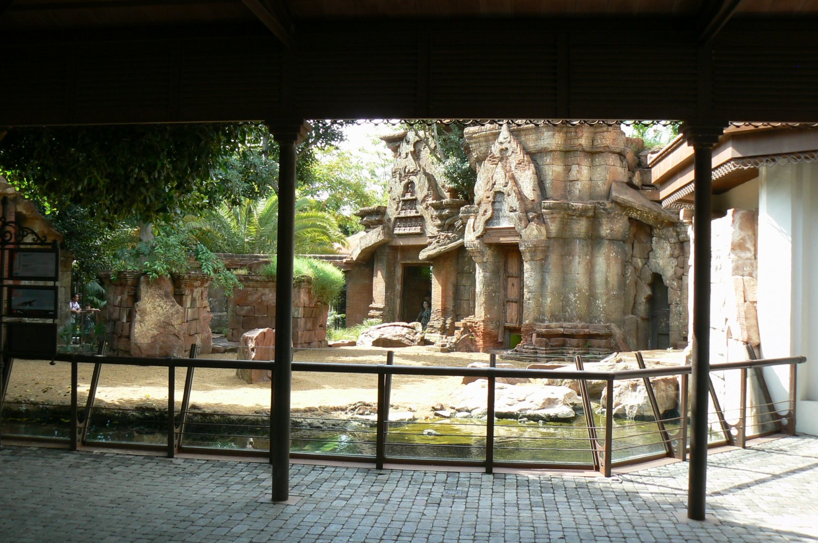 Komodo dragons outdoor exhibit
