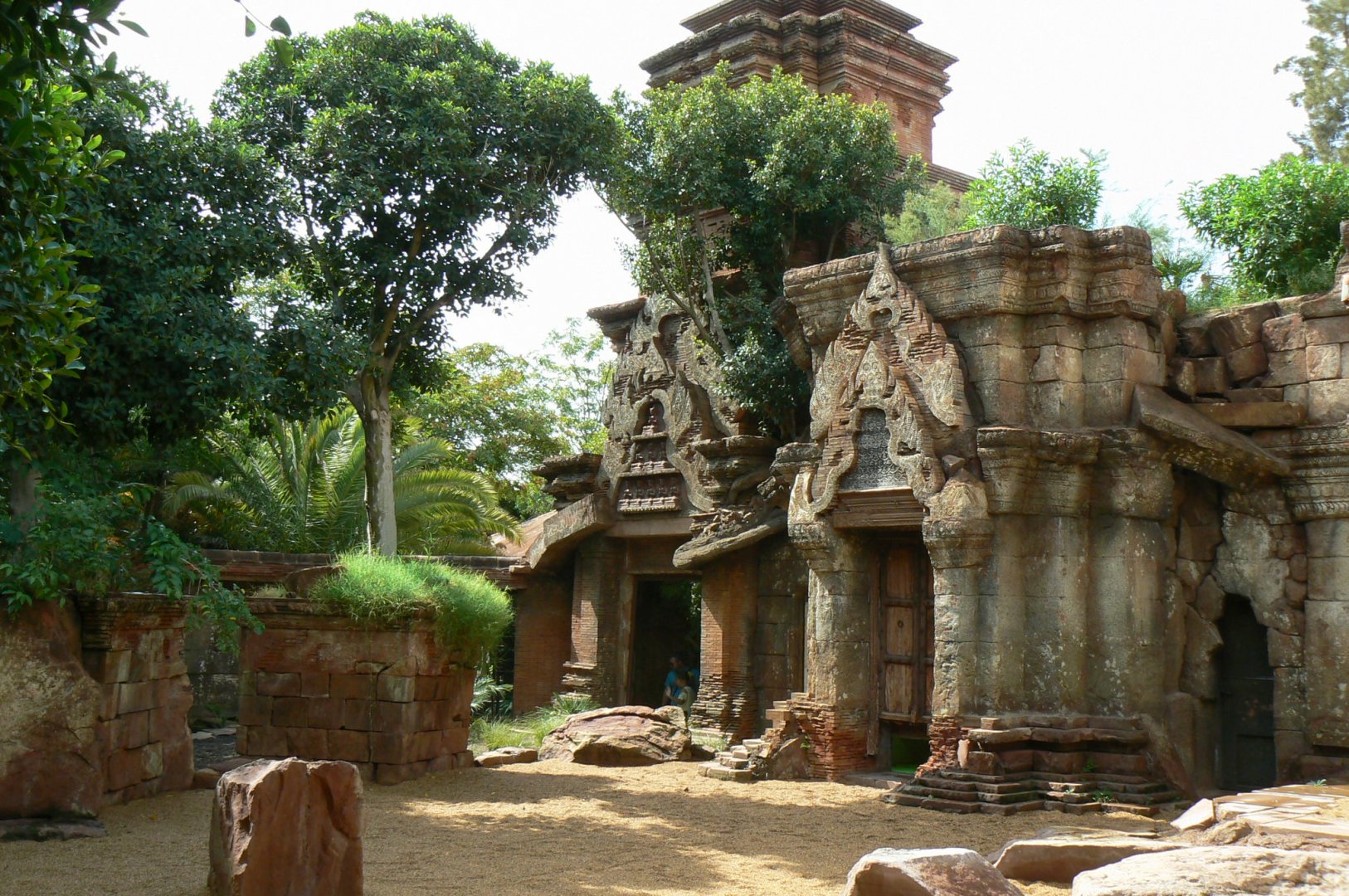 Komodo dragons outdoor exhibit