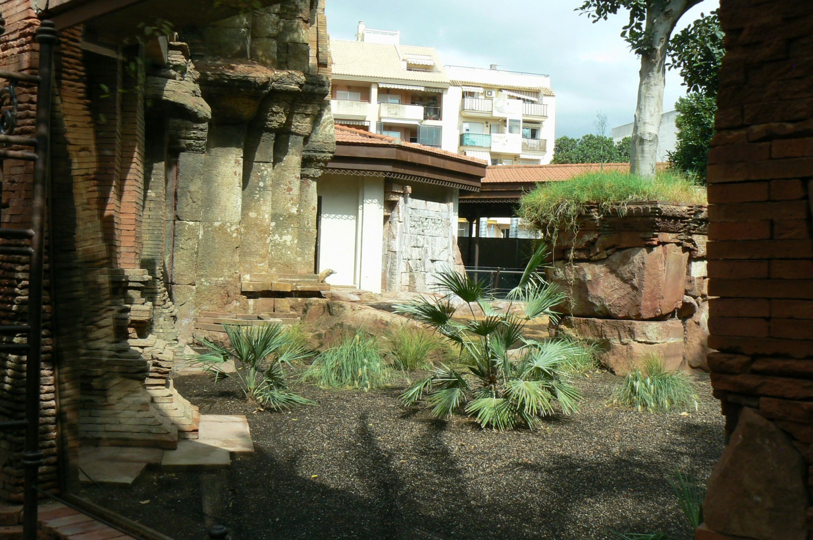 Komodo dragons outdoor exhibit