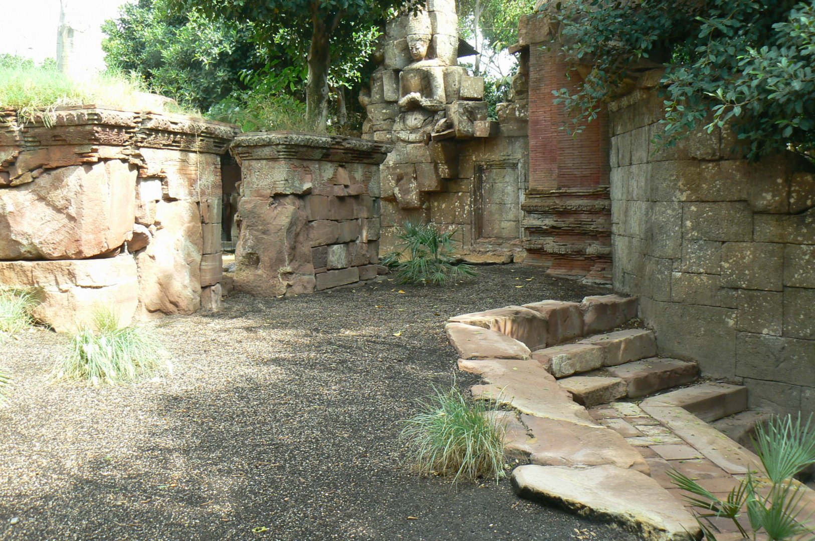 Komodo dragons outdoor exhibit