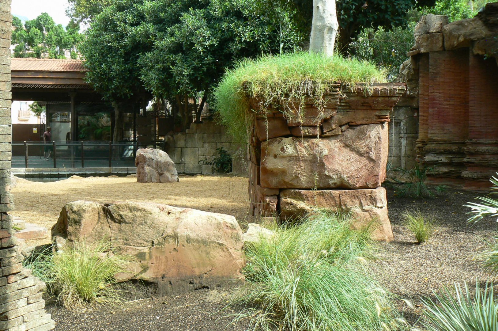 Komodo dragons outdoor exhibit