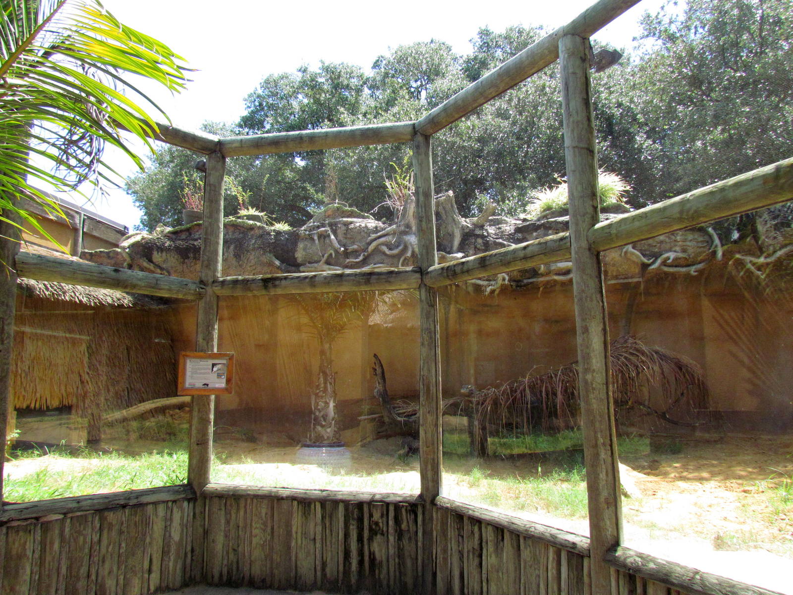 Komodo Draogn Exhibit