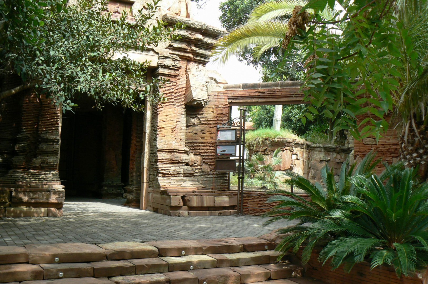 Komodo drgons outdoor exhibit