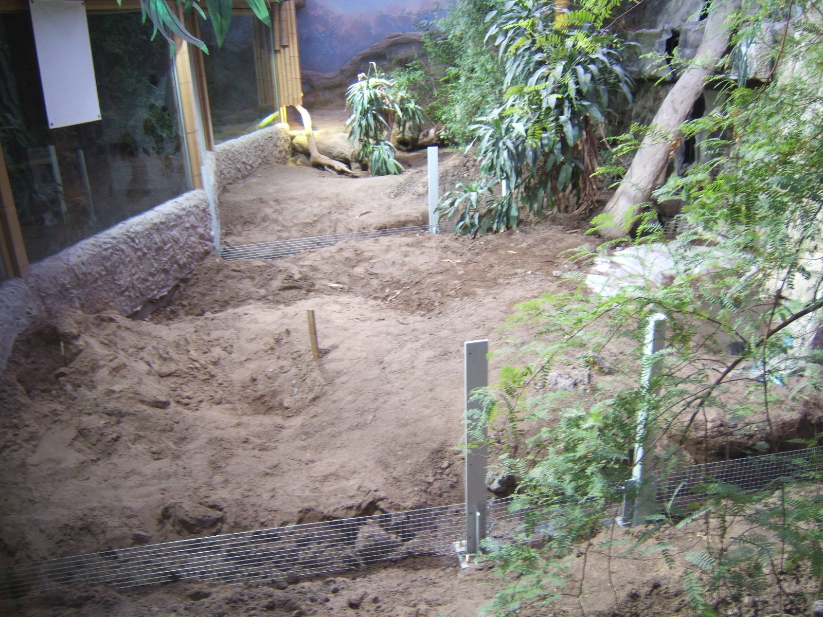 Komodo enclosure under conversion for Iguanas
