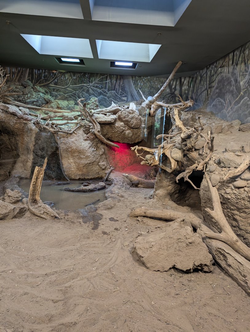 Komodo exhibit