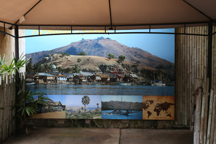 Komodo Island graphic