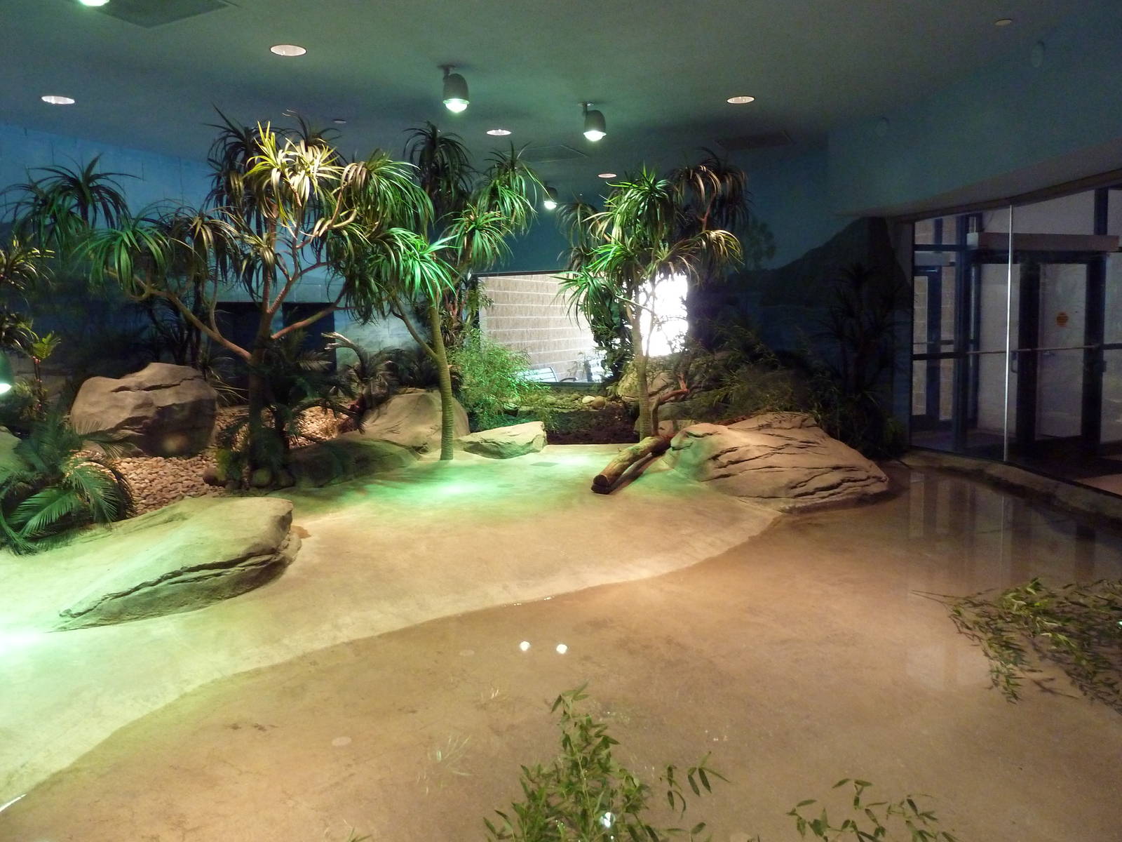 Komodo Kingdom - Komodo Dragon Indoor Exhibit