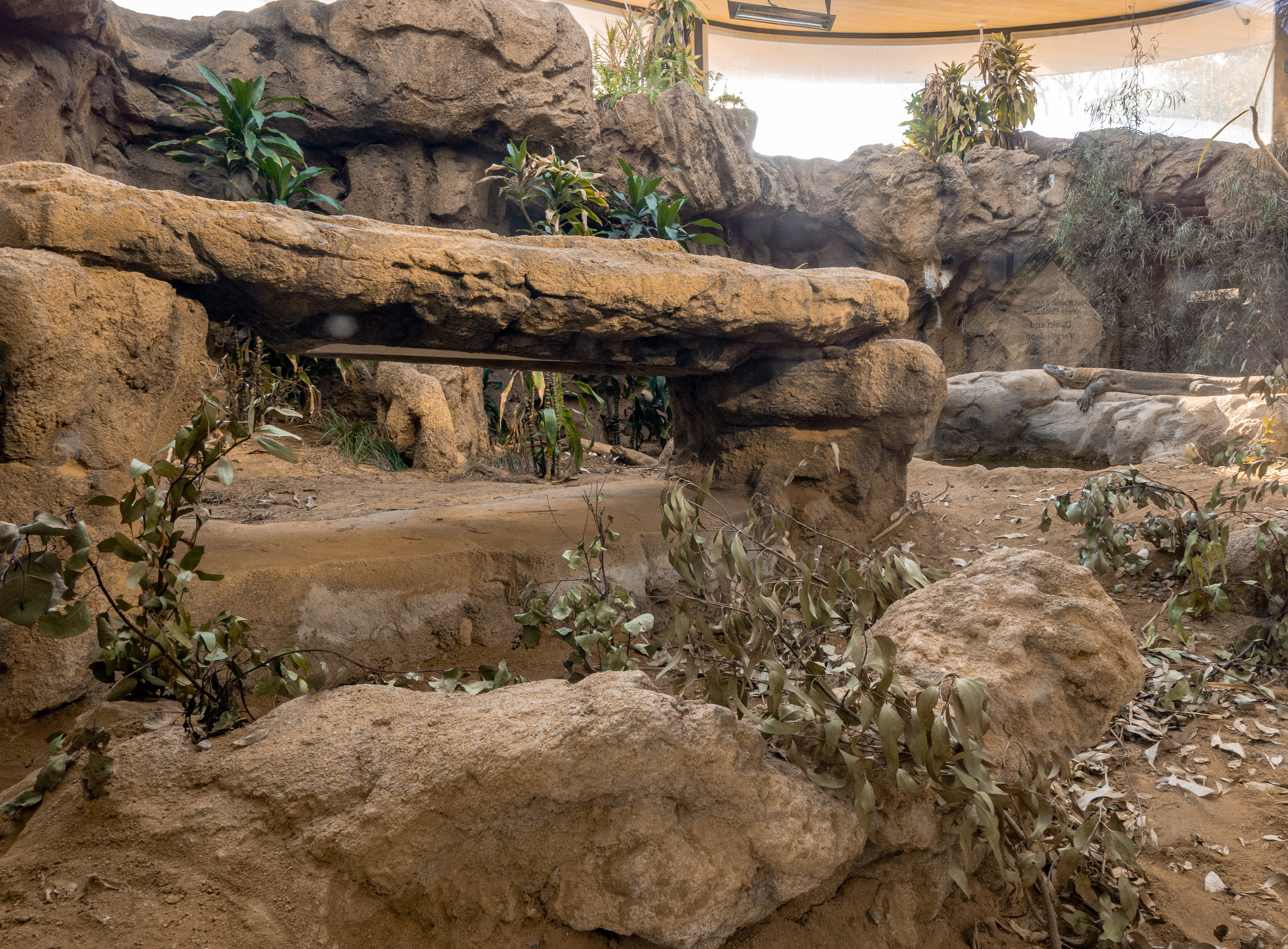 Komodo Kingdom: Mountain Highlands