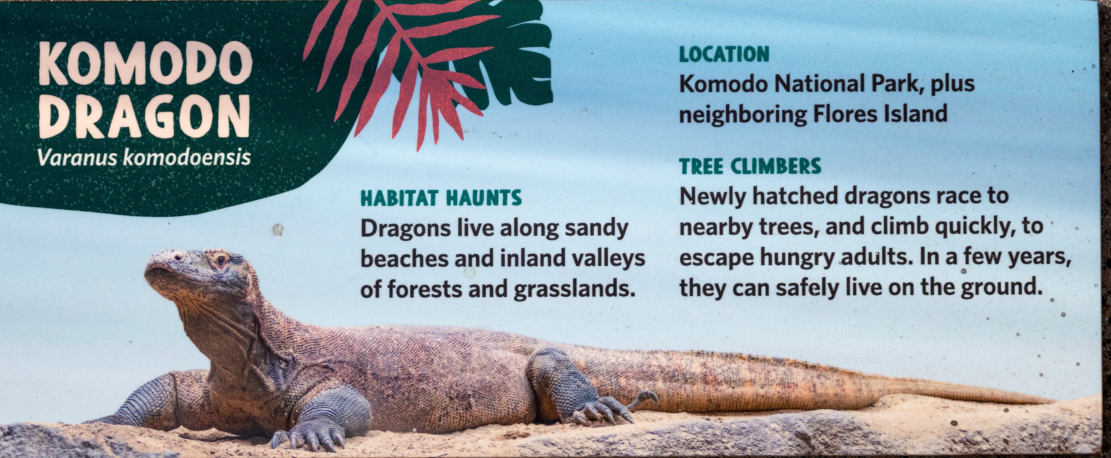 Komodo Kingdom signage