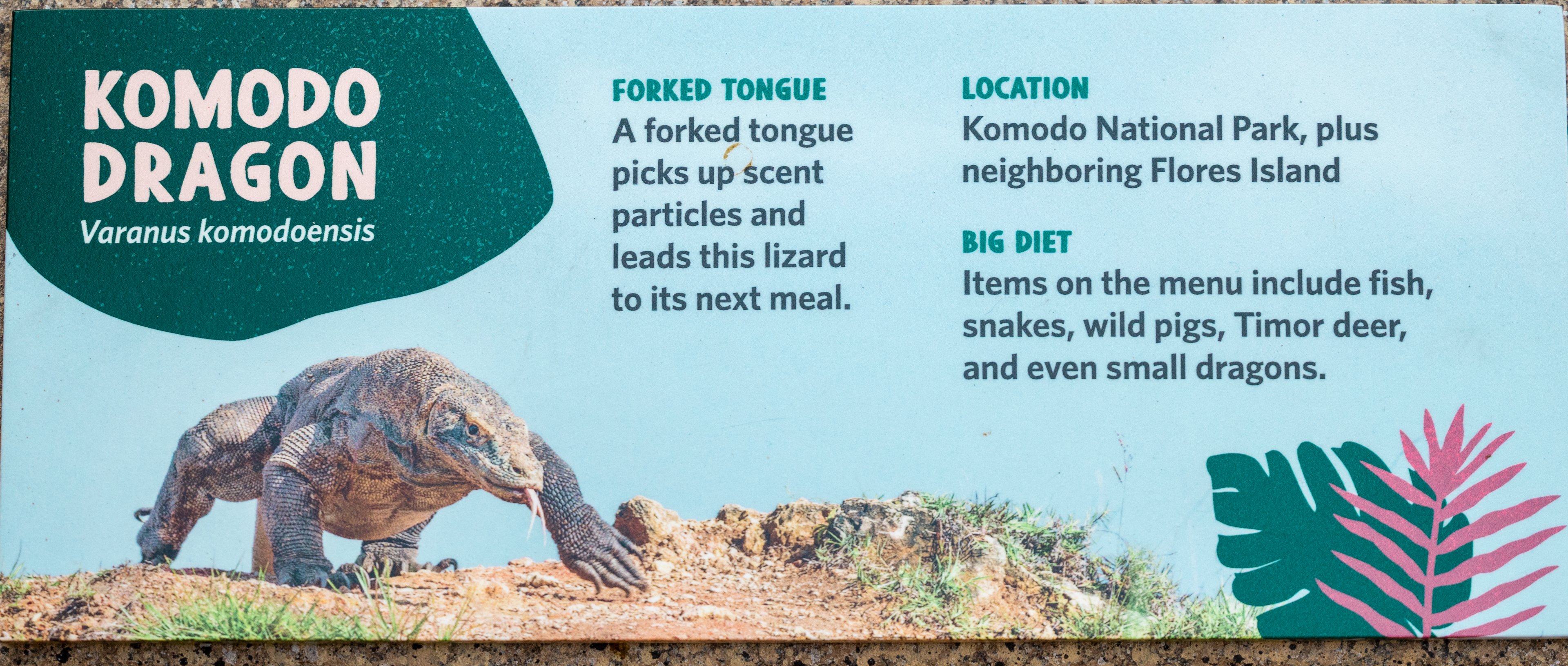 Komodo Kingdom signage
