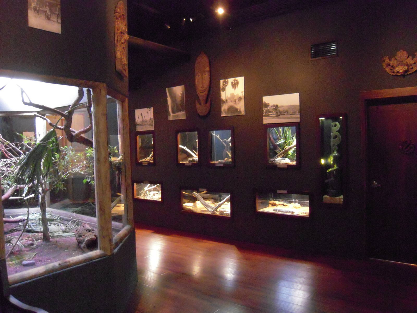 Komodo Reptile House interior