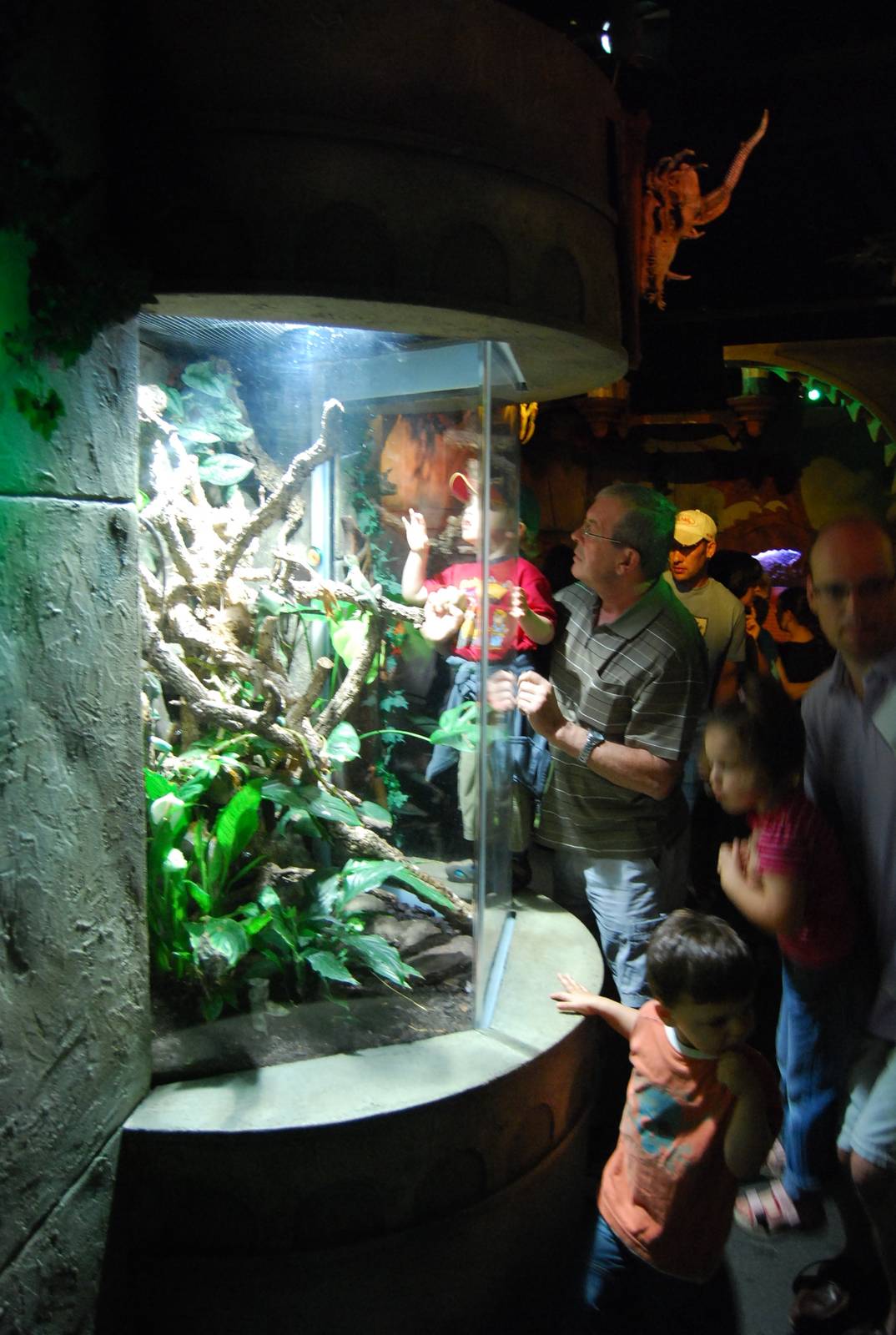 Königswinter Sea Life July 2008