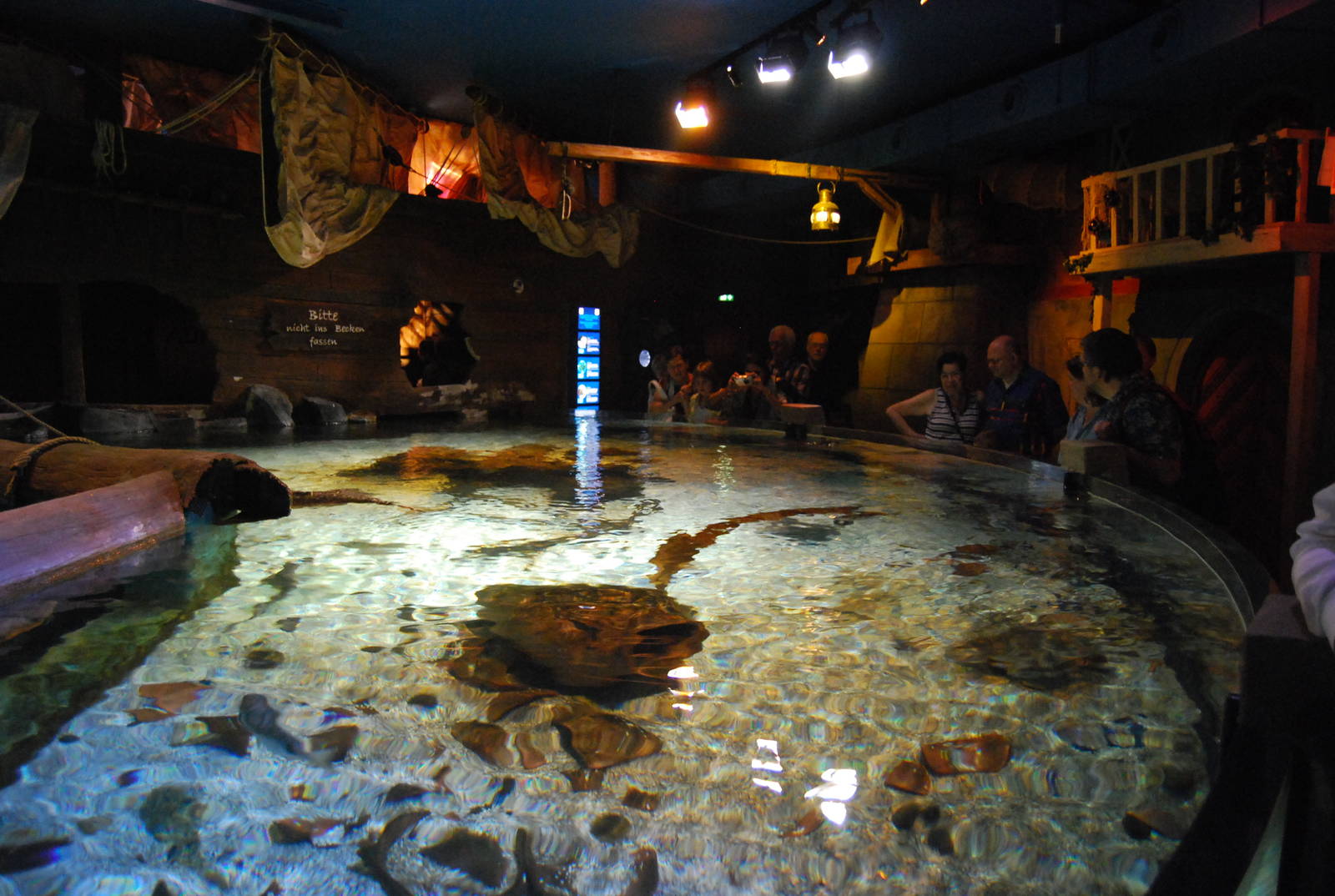 Königswinter Sea Life July 2008