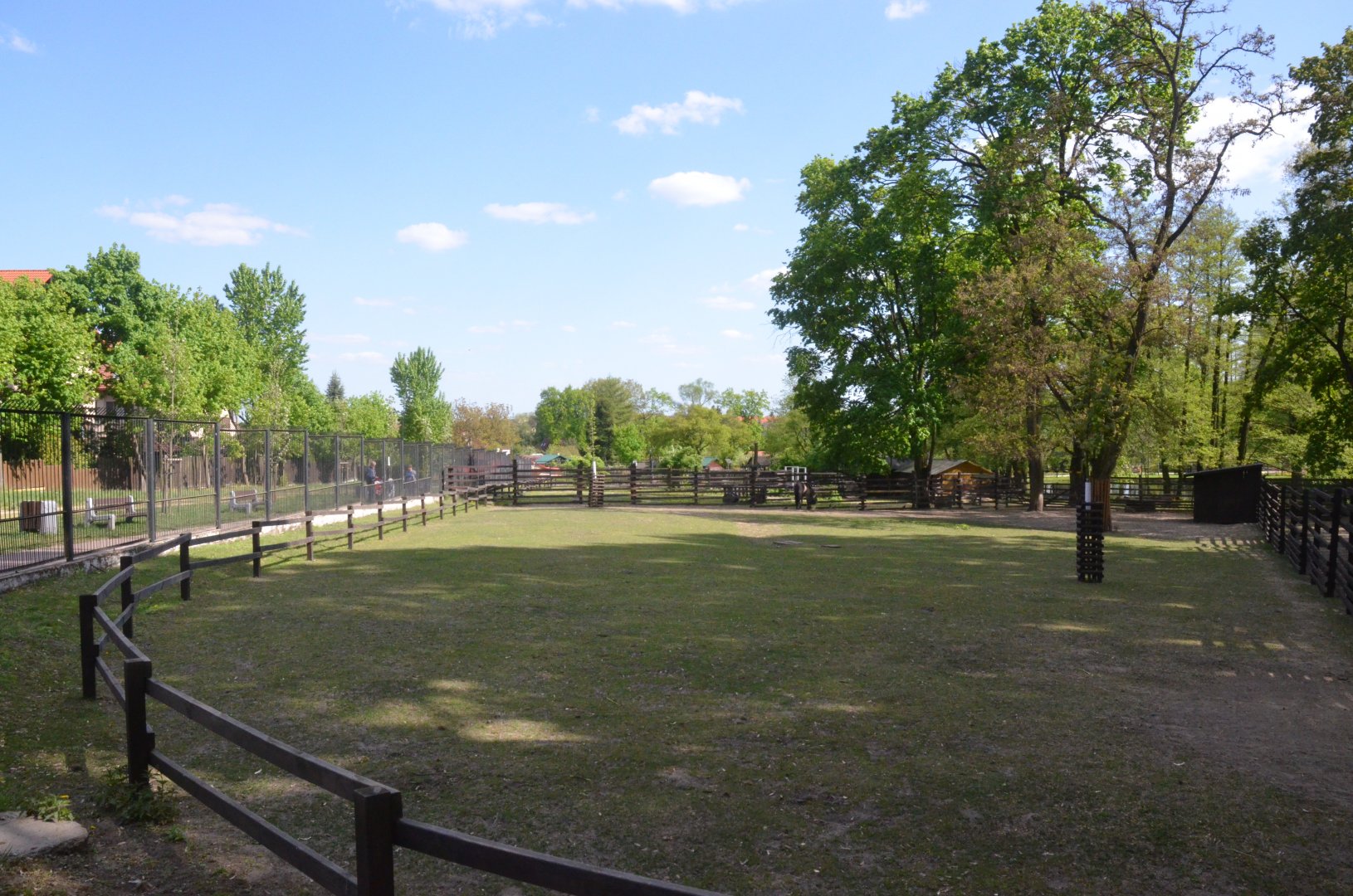 Konik Enclosure at Akcent Zoo Białystok, 08/05/19