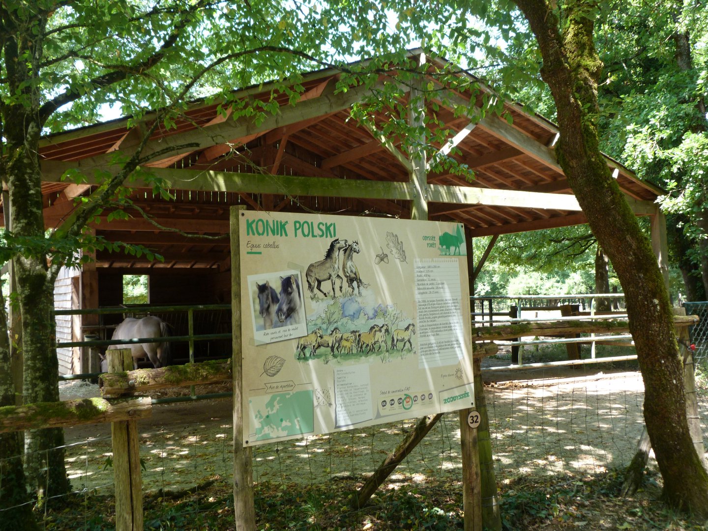Konik horse stable -Zoodyssée (2025)