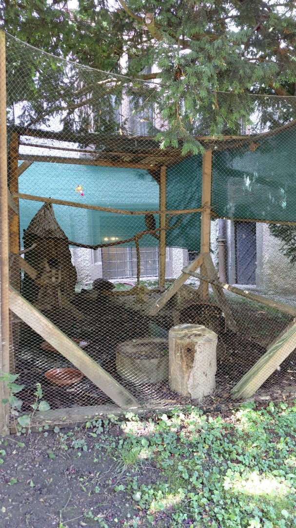 Konopiště castle - Owl exhibit