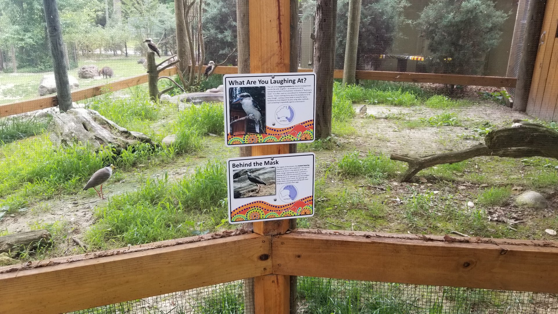 Kookaburra and masked lapwing signs
