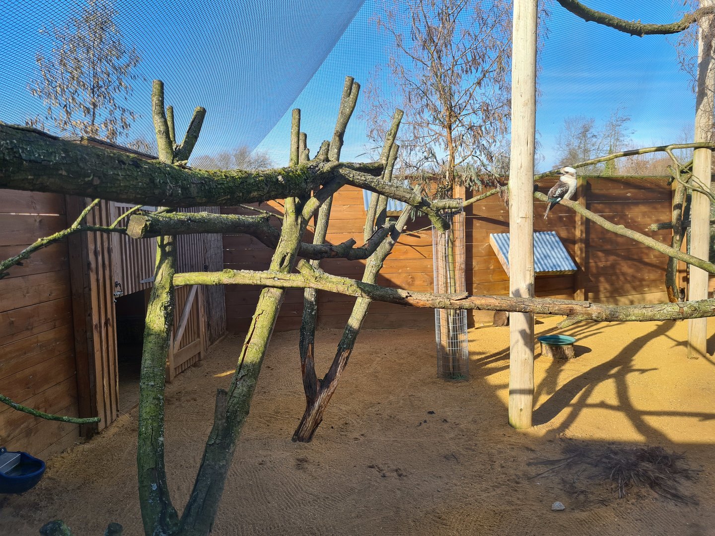 Kookaburra and Wallaby Exhibit