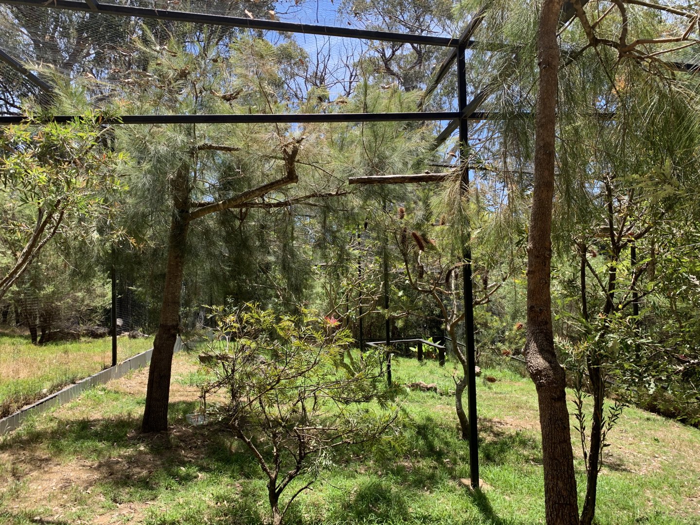 Kookaburra Aviary (Potoroo Palace)