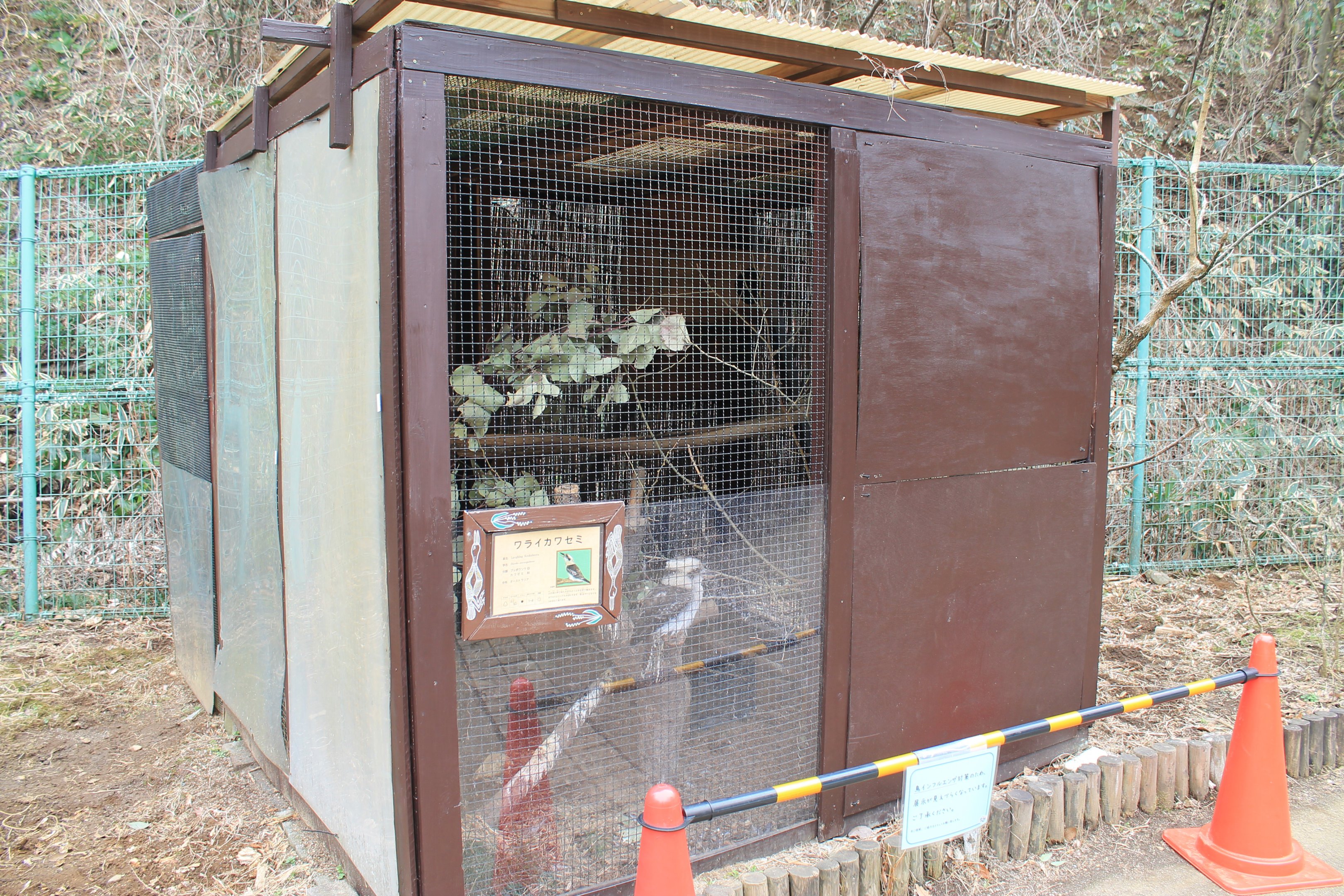 Kookaburra aviary - Saitama Childrens Zoo