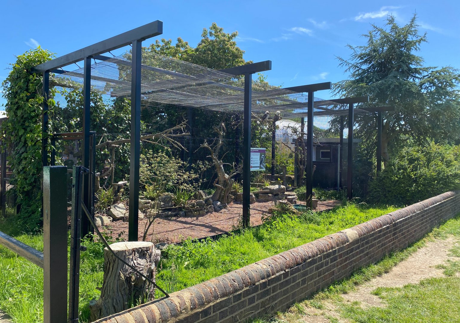 Kookaburra aviary, ZSL Whipsnade, UK