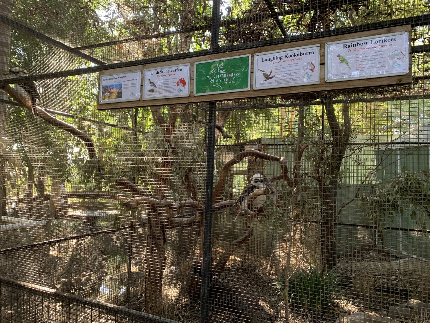 Kookaburra Aviary