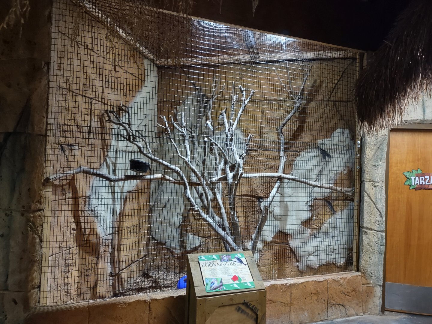 Kookaburra aviary