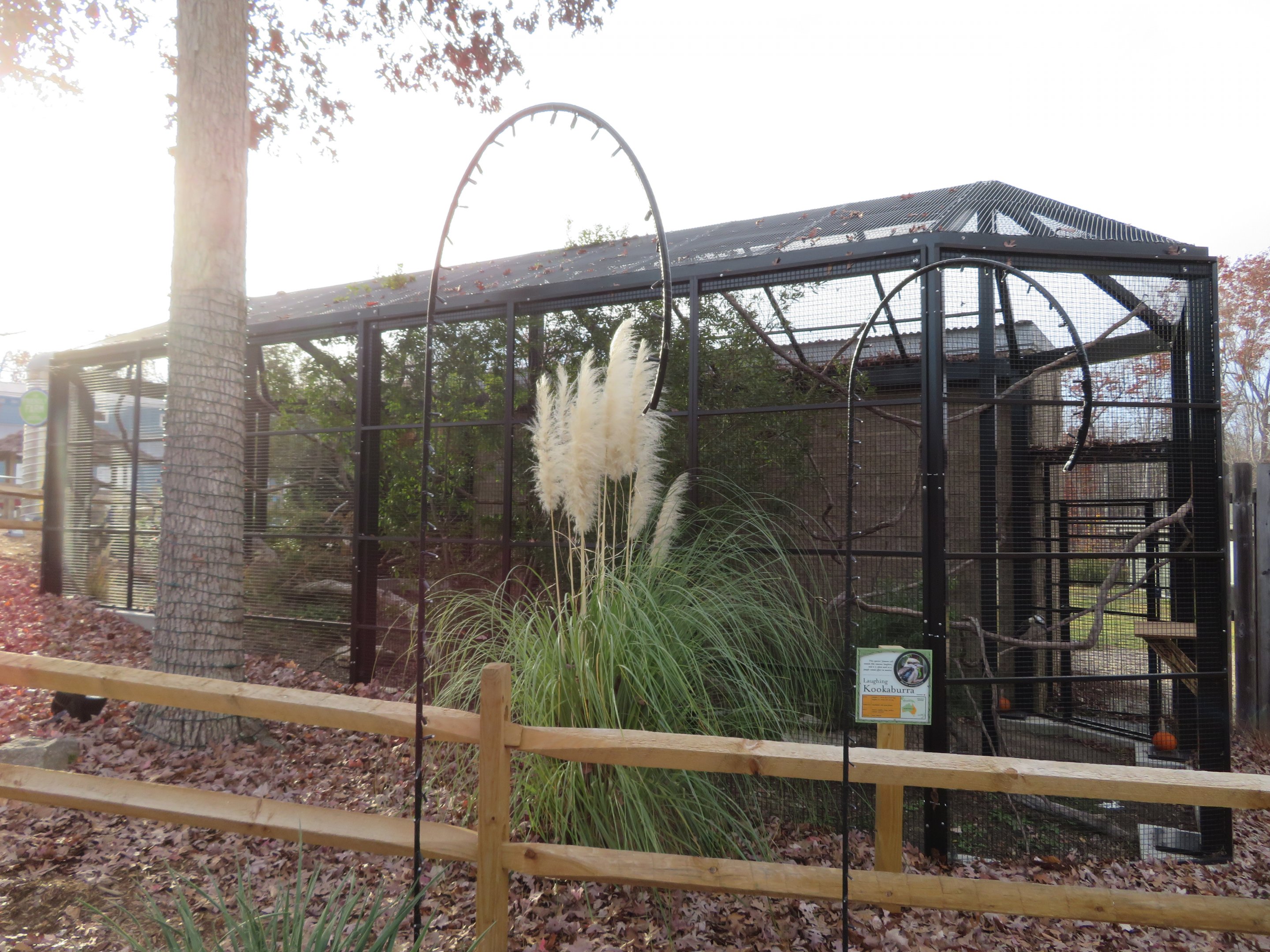 Kookaburra Aviary