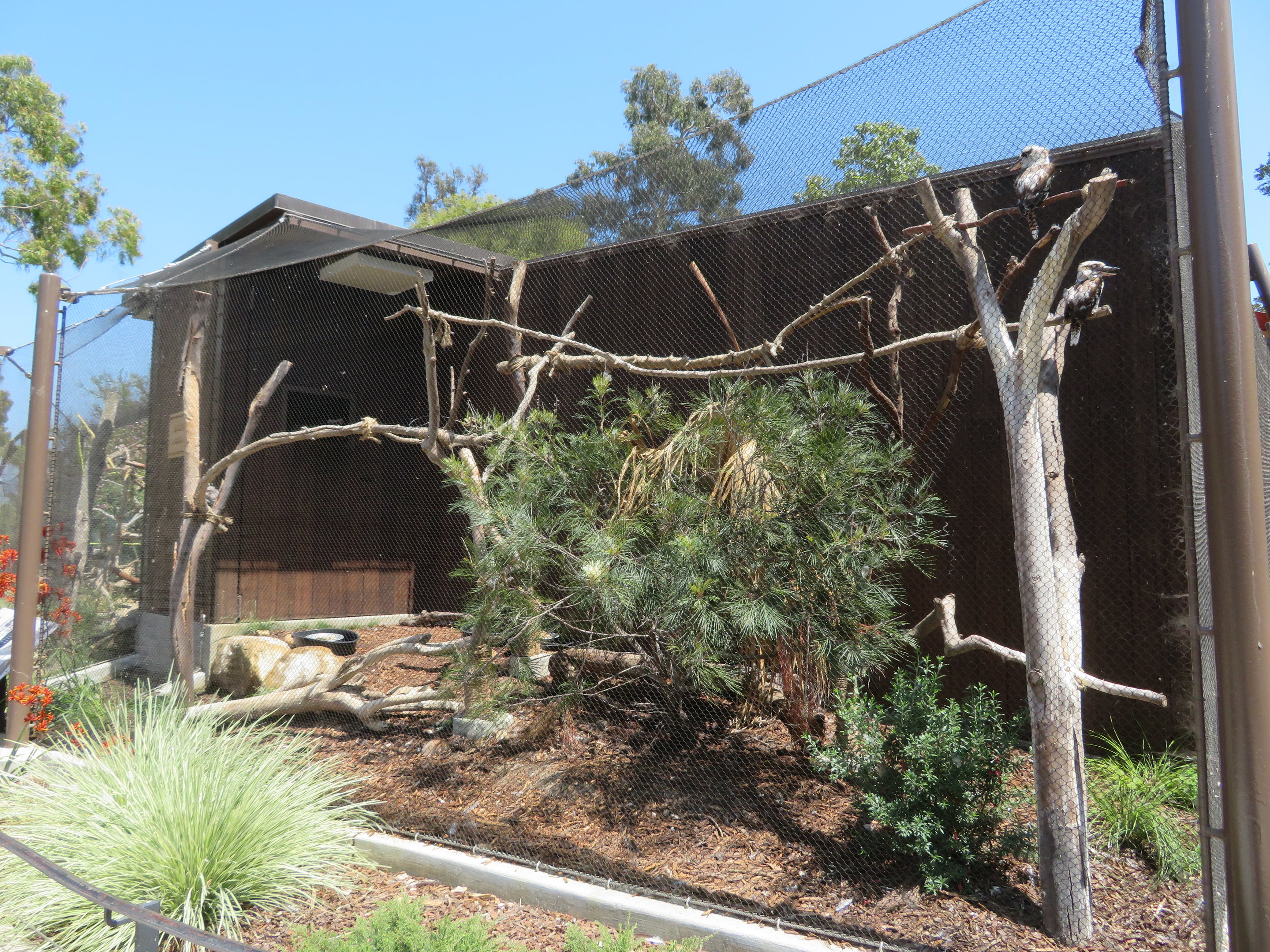 Kookaburra Aviary