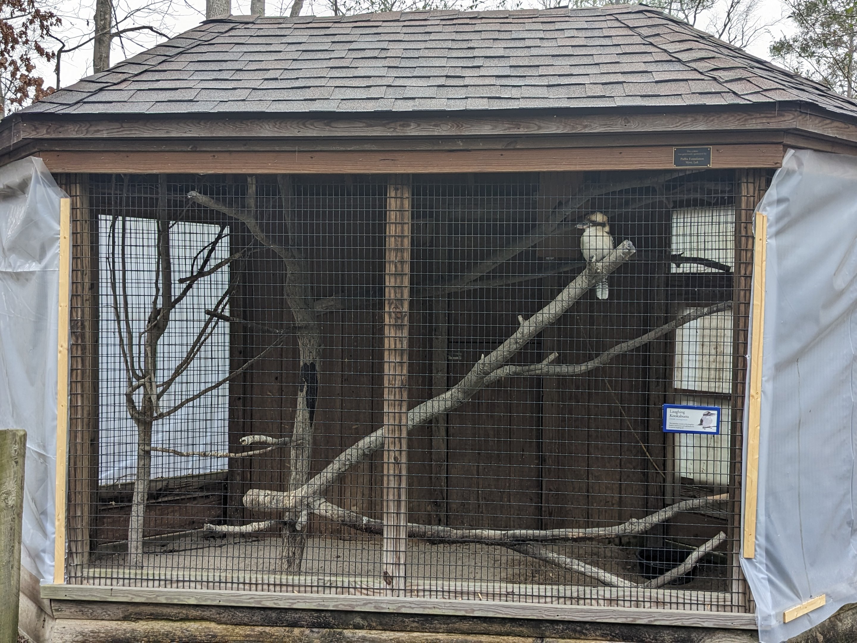 Kookaburra aviary